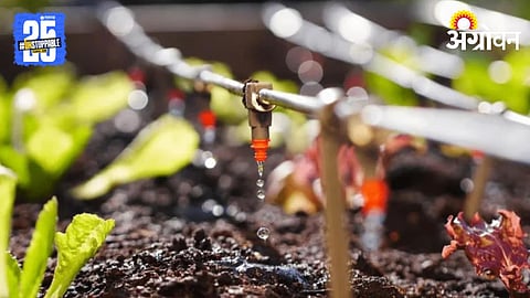 Micro Irrigation