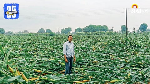 Crop Damage