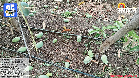 Crop Damage 