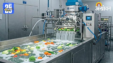Post Harvest Technology 