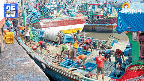 Fisheries 