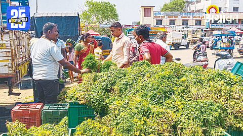 Vegetabel Market 