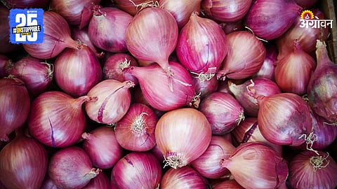 Onion