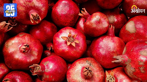 Pomegranate
