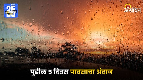 Maharashtra Rain 