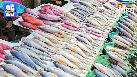 Fish Market