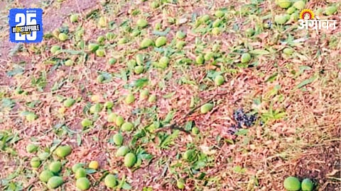 Crop Damage