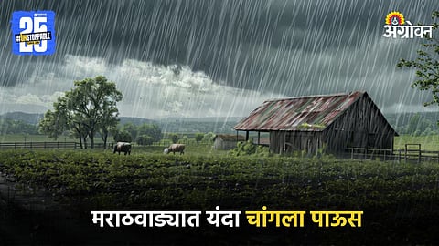 Monsoon