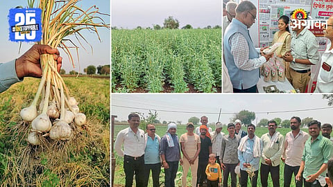 Agriculture