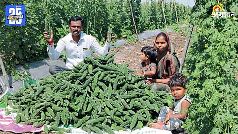 Pune Farmer Success 