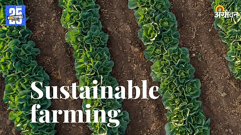 Sustainable Farming