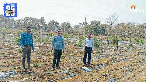 Fruit Farming