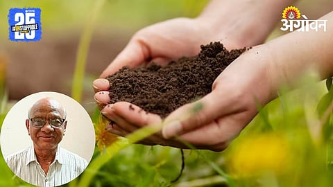 Sustainable Agriculture 