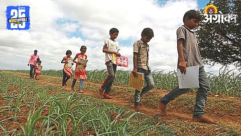 Rural Education