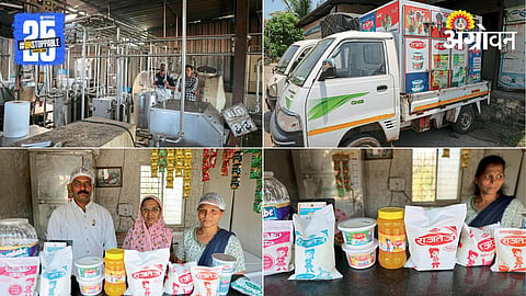 Dairy Business 