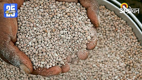 Fertilizer 