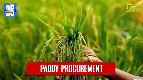 Paddy Procurement