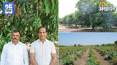 Farmer Success Story 
