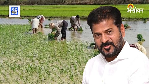CM Telangana 