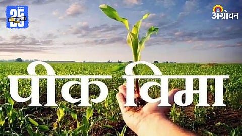 Crop Insurance