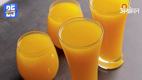 Mango Processing 
