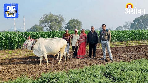 Rural Development 
