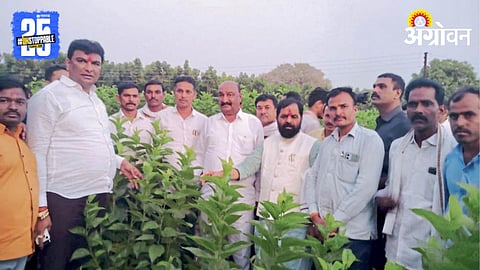 Sandipan Bhumre 
