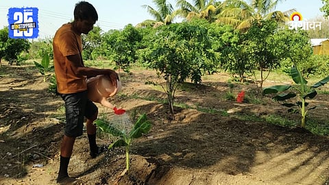 Agriculture