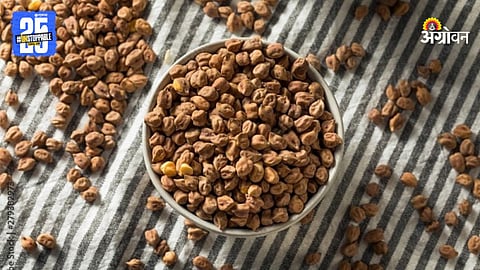 Chana