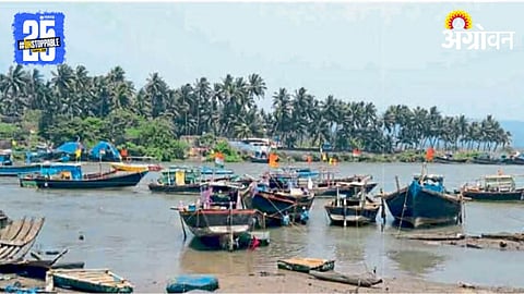 Fishing Crisis 