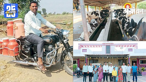 Dairy Farming 