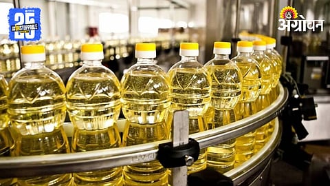 Edible Oil