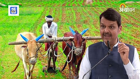 Cabinet Meeting 