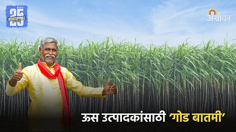 Sugarcane FRP