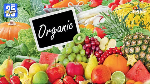 Organic