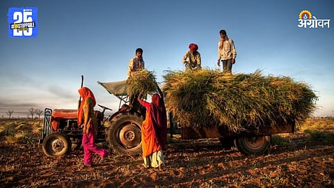 Agriculture