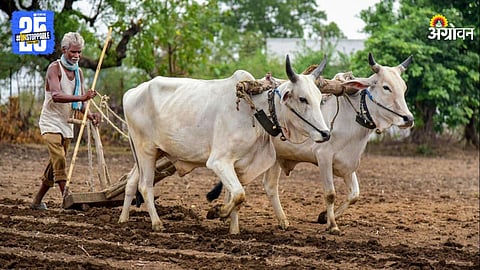 Indian Farmer