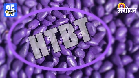 HTBT Seed 
