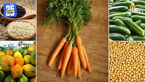 Agriculture Products