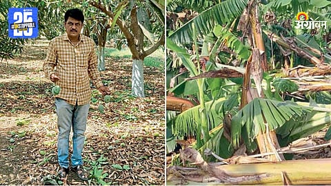 Crop Damage