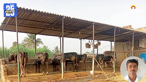 Dairy Farming