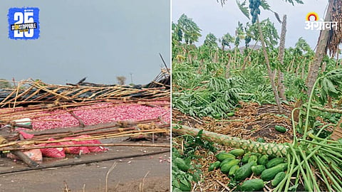 Crop Damage