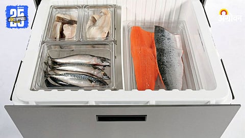 Fish