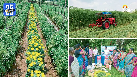 Agriculture