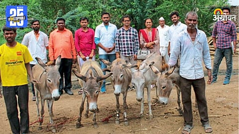 Kaikadi and Godavari Donkey