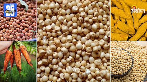 Agriculture Products
