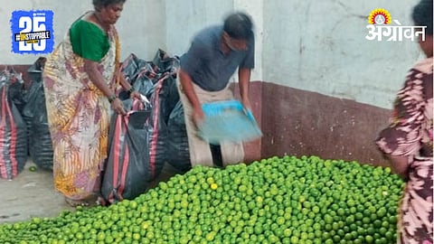 Lemon Rate
