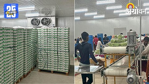 Cold Storage