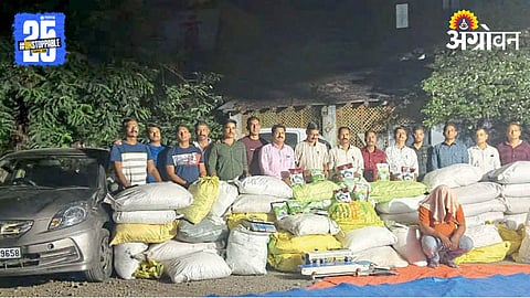 Fake Seed Seized 