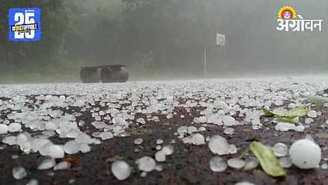 Hailstorm Alert
